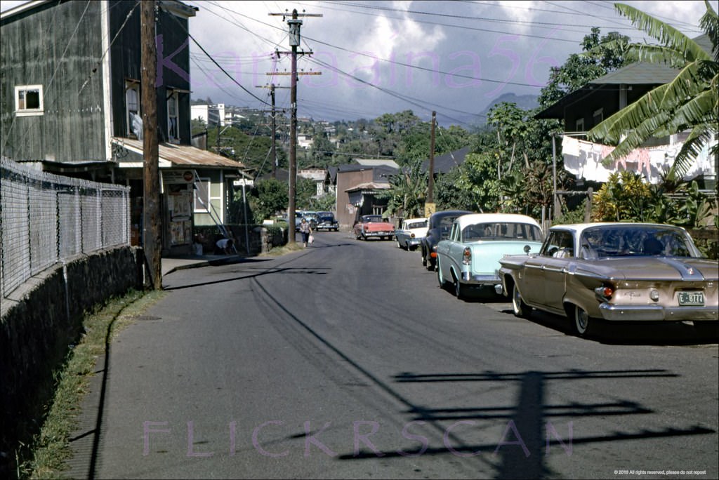 #113 Auld Lane Kapalama Mauka 1961.