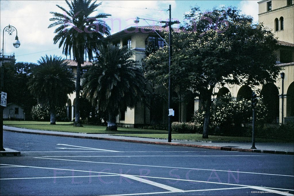 #196 Federal Bldg Merchant St, 1951.