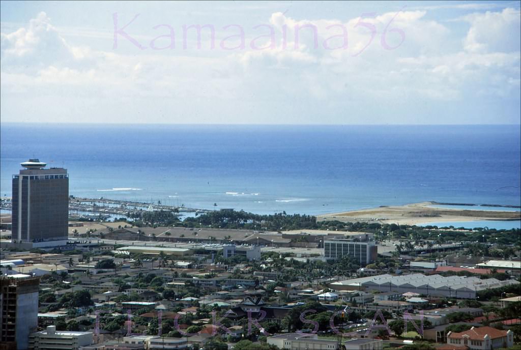 #11 Ala Moana Birdseye, 1966