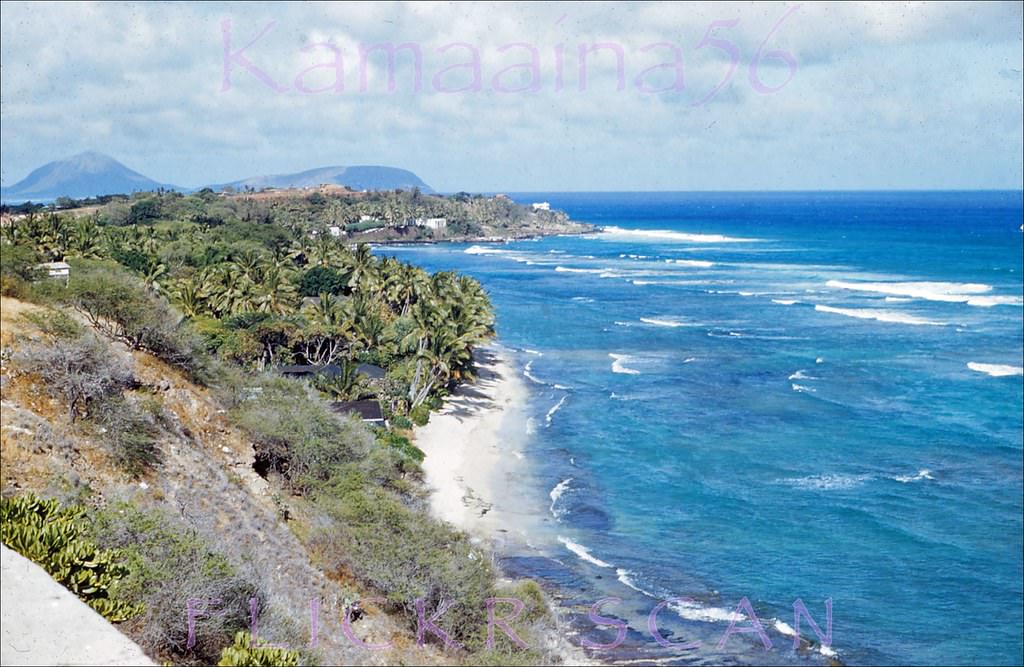 #209 Black Point Vista, 1953.