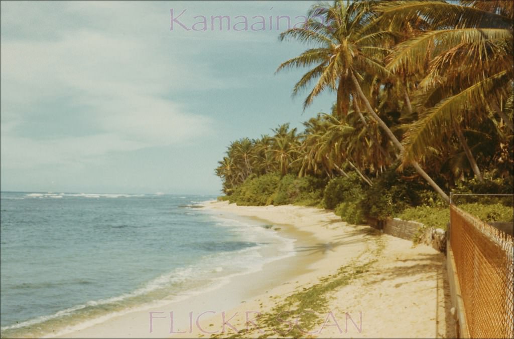 #28 Looking ewa along the beachfront of the Paterson Cottages next to Black Point behind Diamond Head at the end of Kaalawai Place, 1972.