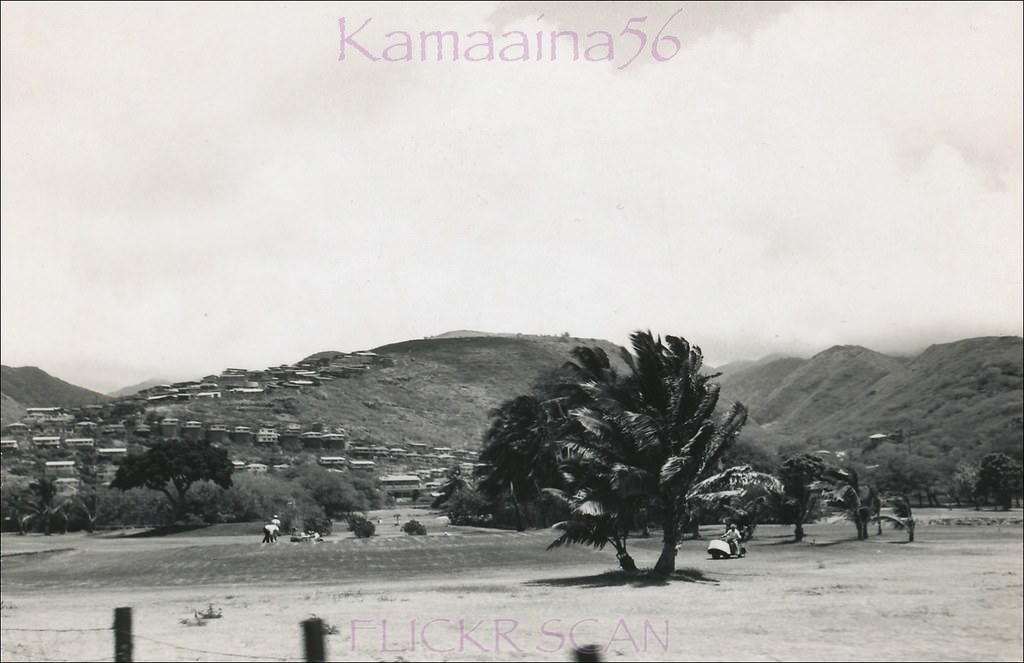 #213 Waialae Late, 1950s.