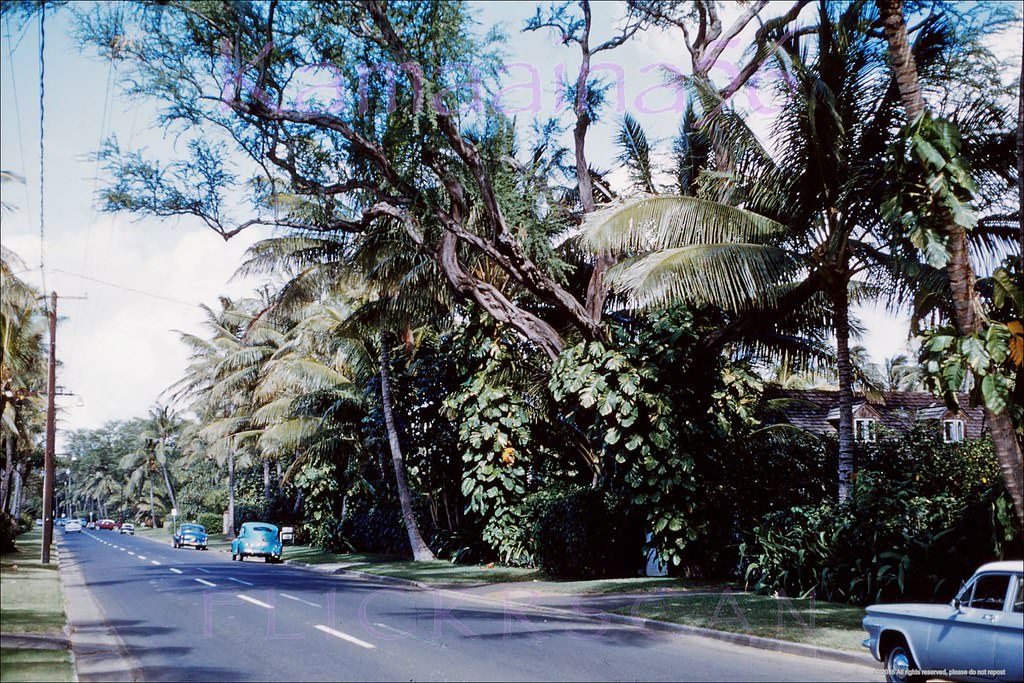 #119 Kahala Ave at Royal Makai, 1960.