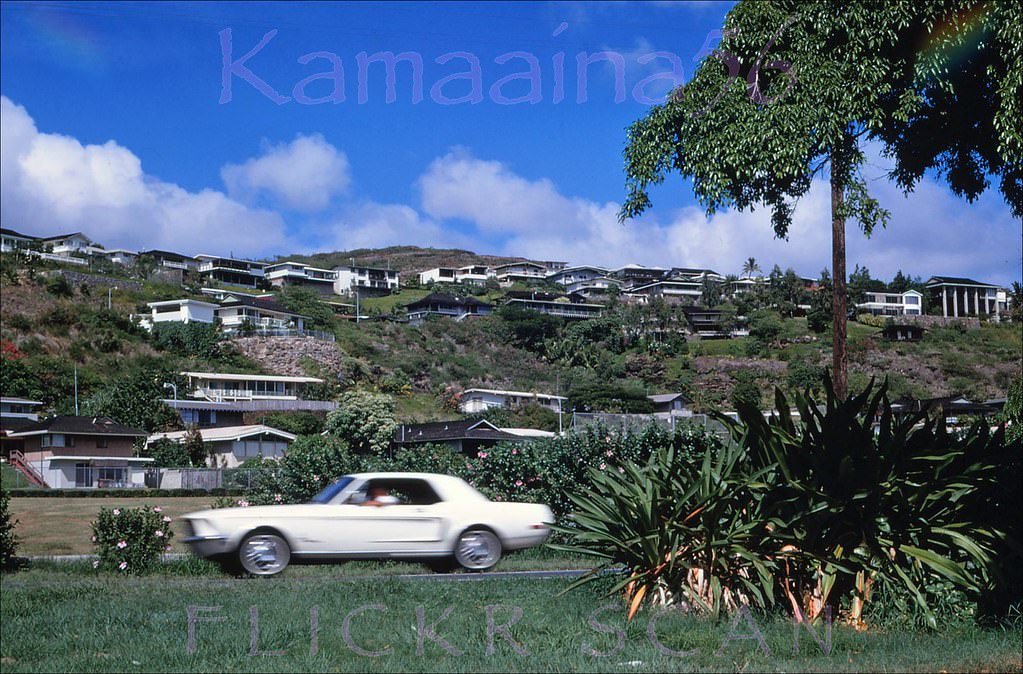 #123 Kalanianalole Hwy Waialae Iki, 1968