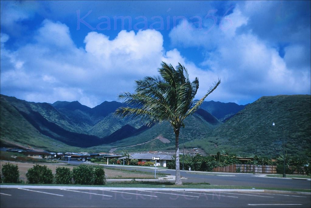 #219 Aina Haina Mauka, 1951