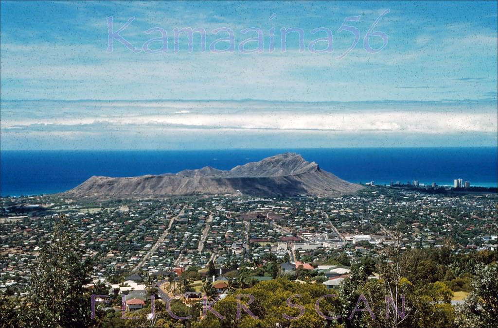 #17 Diamond Head Wilhelmina, 1962