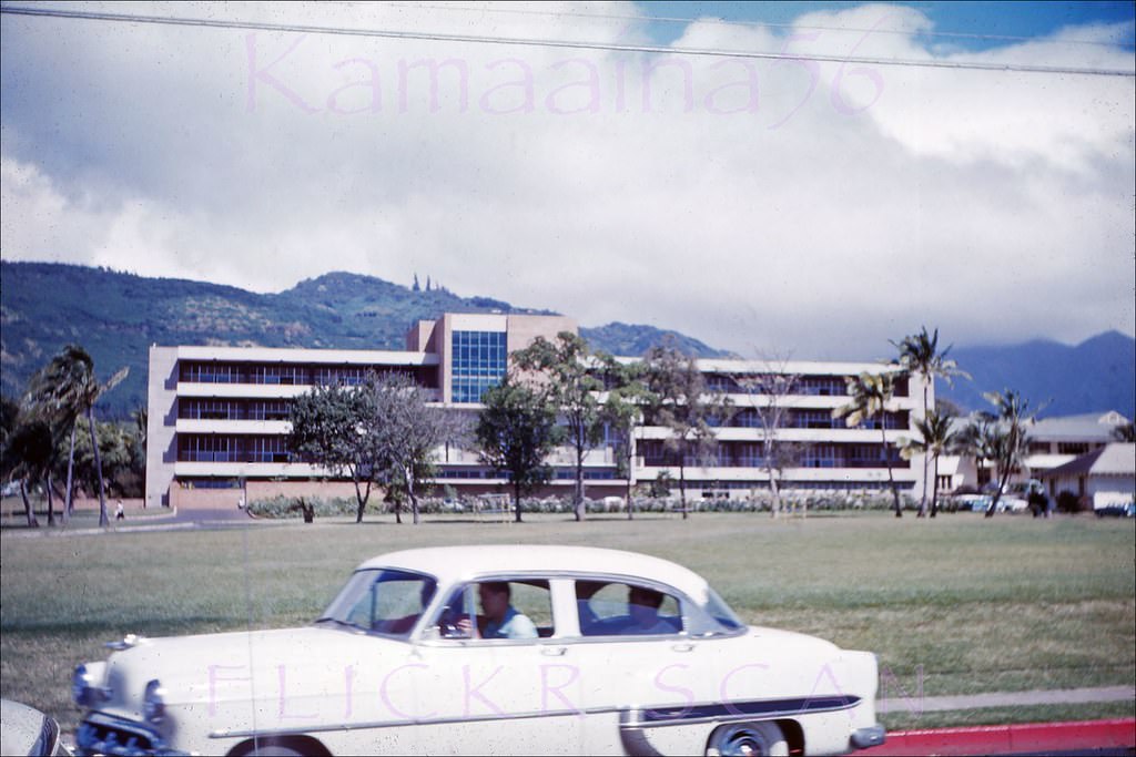 #50 The University of Hawaii’s 1956 Sinclair Library viewed from Dole Street near University Avenue, 1961