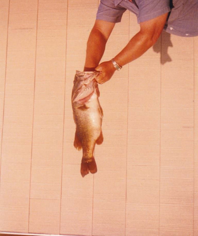 Hilarious Vintage Photos of Men Holding their Fish Funny