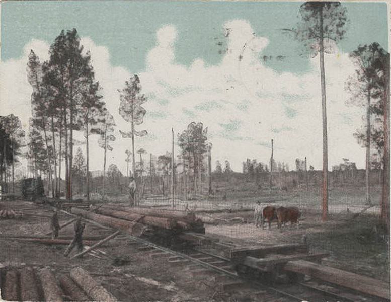 #107 Logging Train, Mobile, 1907