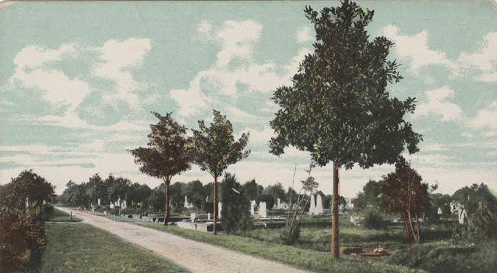 #125 Avenue in Magnolia Cemetery, Mobile, Alabama, 1900s