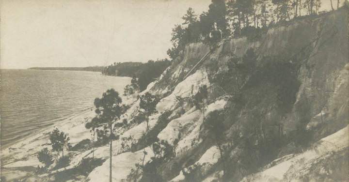 #185 Sea Cliff, Alabama, Across the Bay from Mobile, 1906