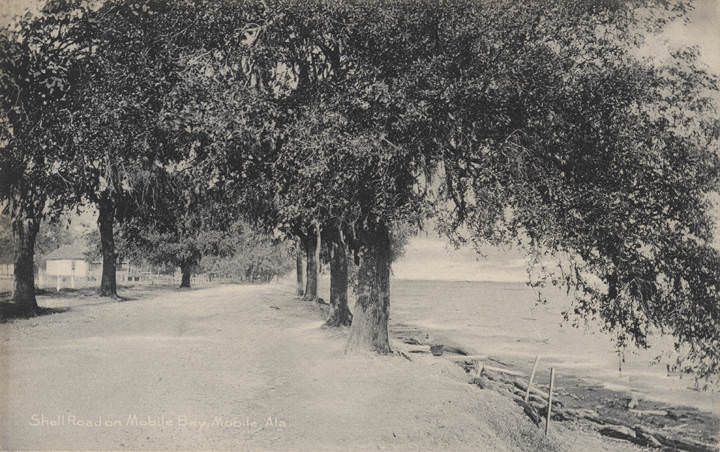 #186 Shell Road on Mobile Bay, Mobile, 1907