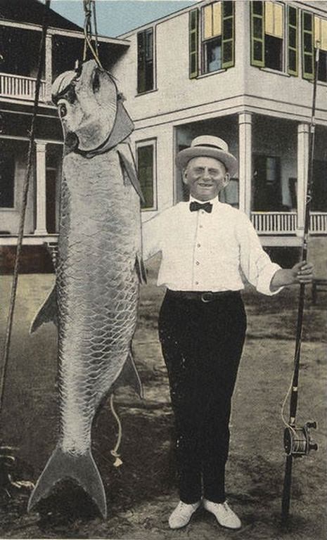 #263 Tarpon Caught at Coden, near Mobile, 1906