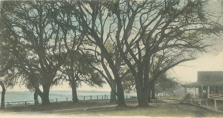 #204 The Country Club, Mobile Bay, 1906