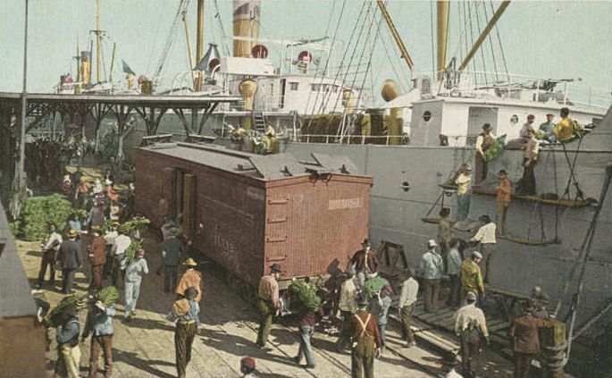 #214 Unloading Bananas from Steamer, 1906