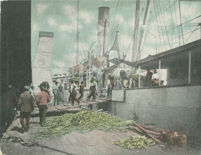#215 Unloading Bananas, Mobile, 1906