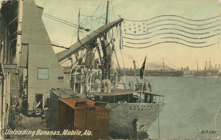 #216 Unloading Bananas, Mobile, 1906