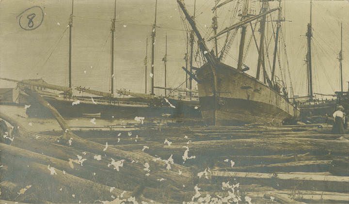 #230 Damage done by a hurricane in Mobile, 1902