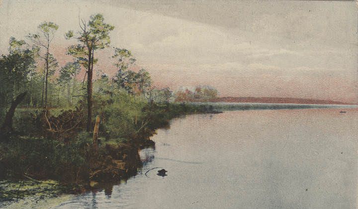 #65 Dog River, Mobile, 1904