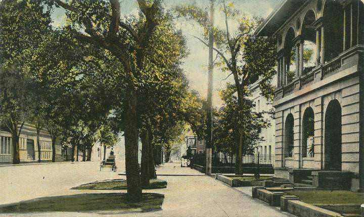 #85 Government Street Scene, Mobile, 1904