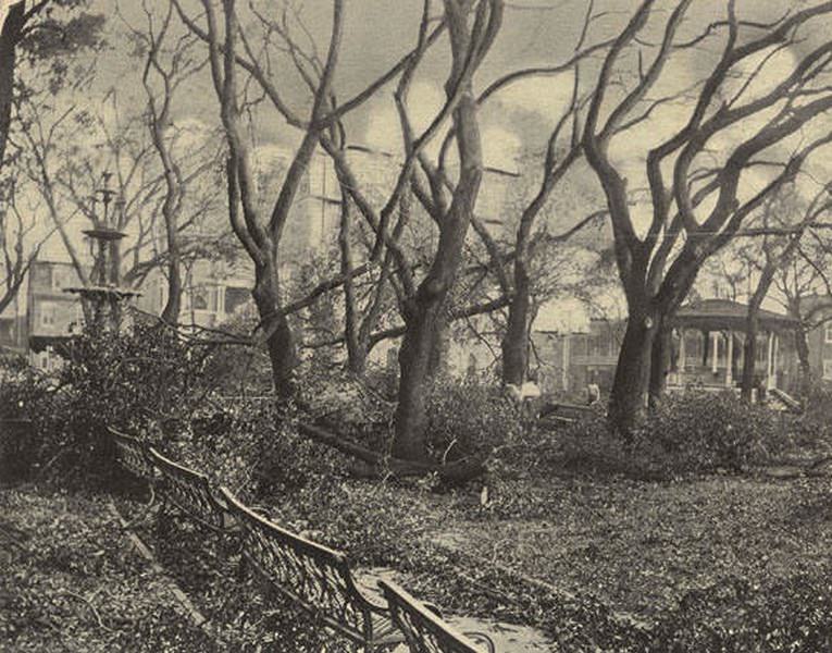 #93 Havoc of the Storm in Biernell Square, Sept. 27, 1906, Mobile.