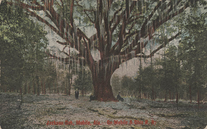 #99 Jackson Oak, Mobile, Ala. On Mobile & Ohio, 1901