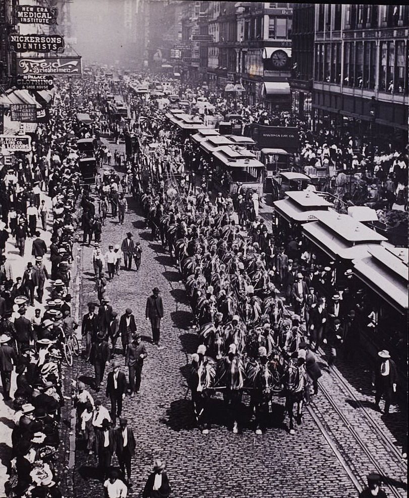 #115 A forty horse team in the Barnum and Bailey Circus parade, in Chicago, 1904