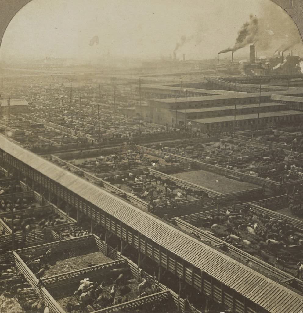 #101 Bird’s Eye View of the Great Union Stock yards. Chicago, 1900