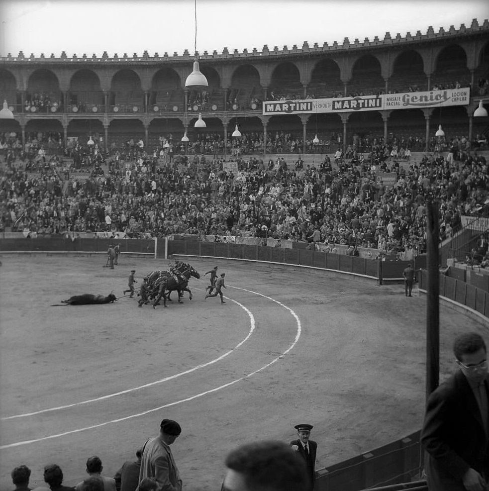 #33 Bullfight in Barcelona Arena 1961.
