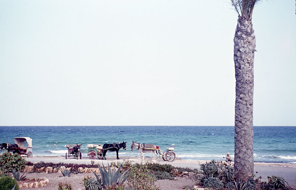 #110 Mallorca, 1960