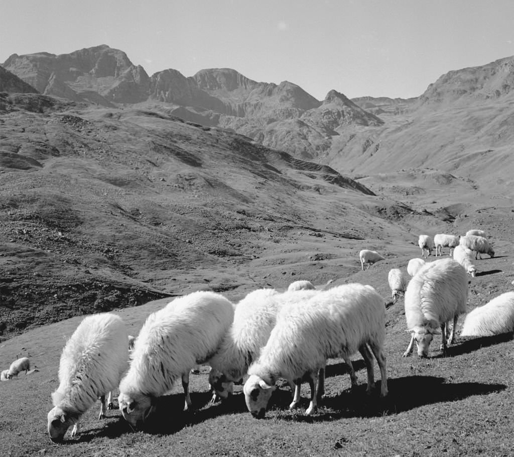 #125 The Aragonese Pyrenees, Huesca, Spain, 1963.