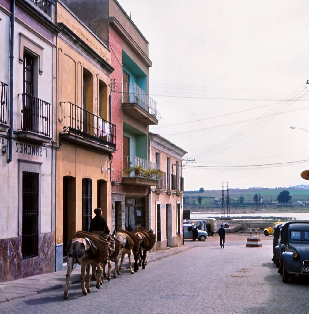 #134 Woman with her donkeys, Merida, Spain, 1963.