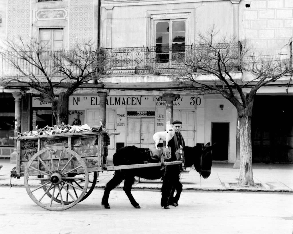 #142 Man transporting garbage in a cart with his donkey and his dog, Arevalo, Avila, Castilla y León, Spain, 1963.