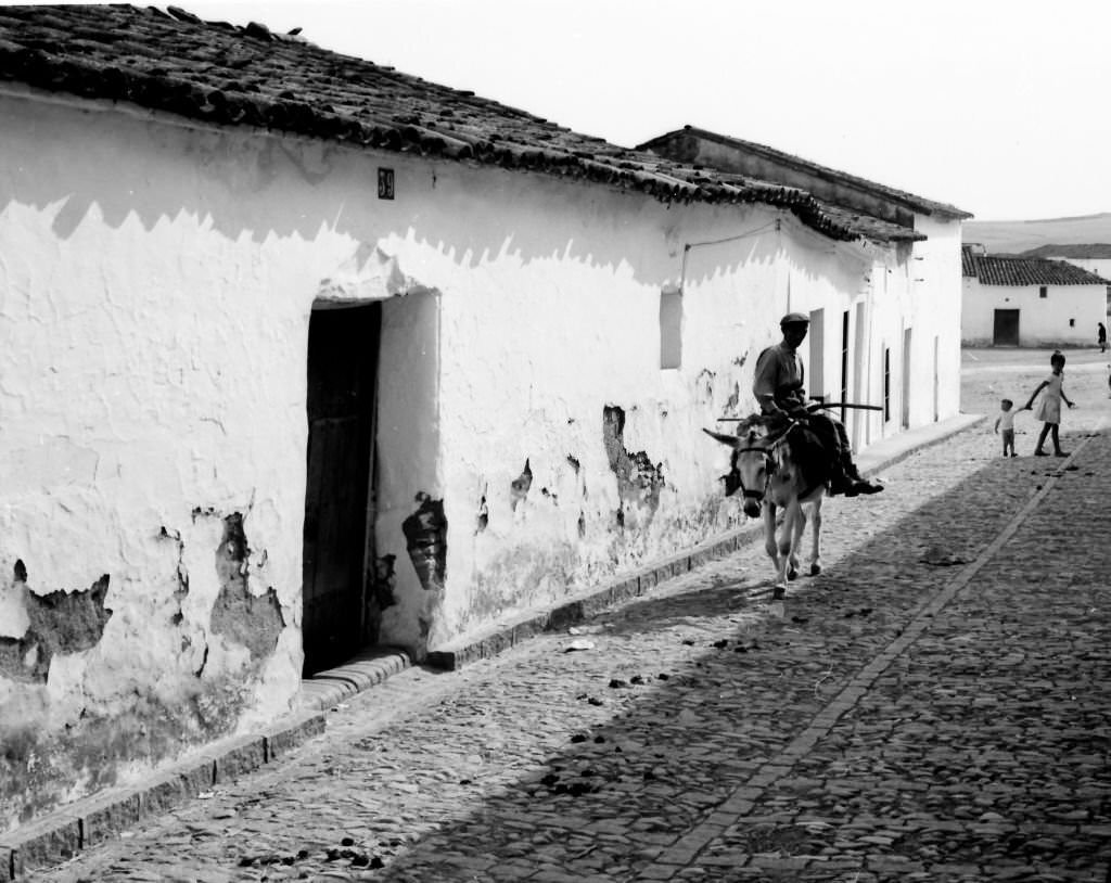 #23 A farmer returns home trotting his donkey in the small town of Fuente de los Cantos, Badajoz, Extremadura, 1964.