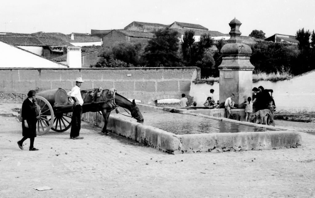 #211 A horse drinks and some children play in the fountain in the small town of Fuente de los Cantos, Badajoz, Extremadura, 1964.