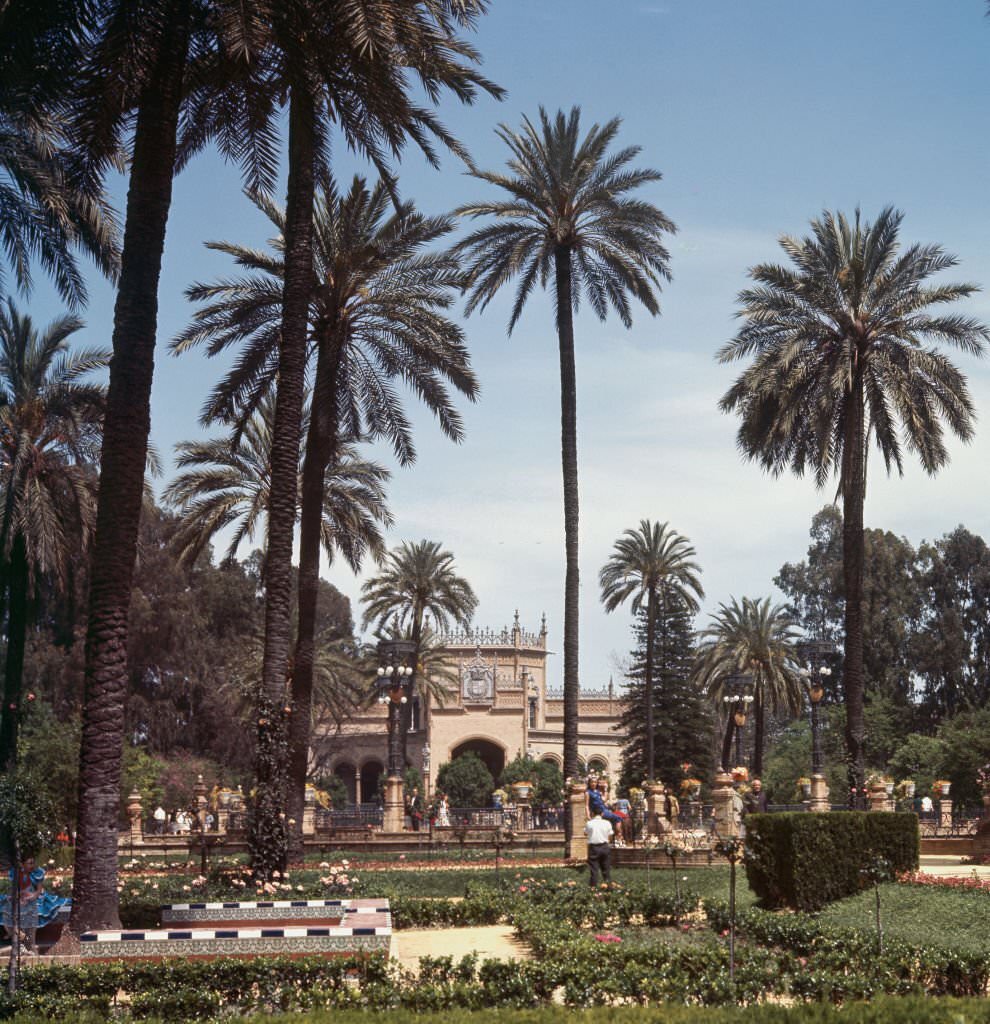 #234 Maria Luisa Park, 1962, Seville, Andalusia, Spain.