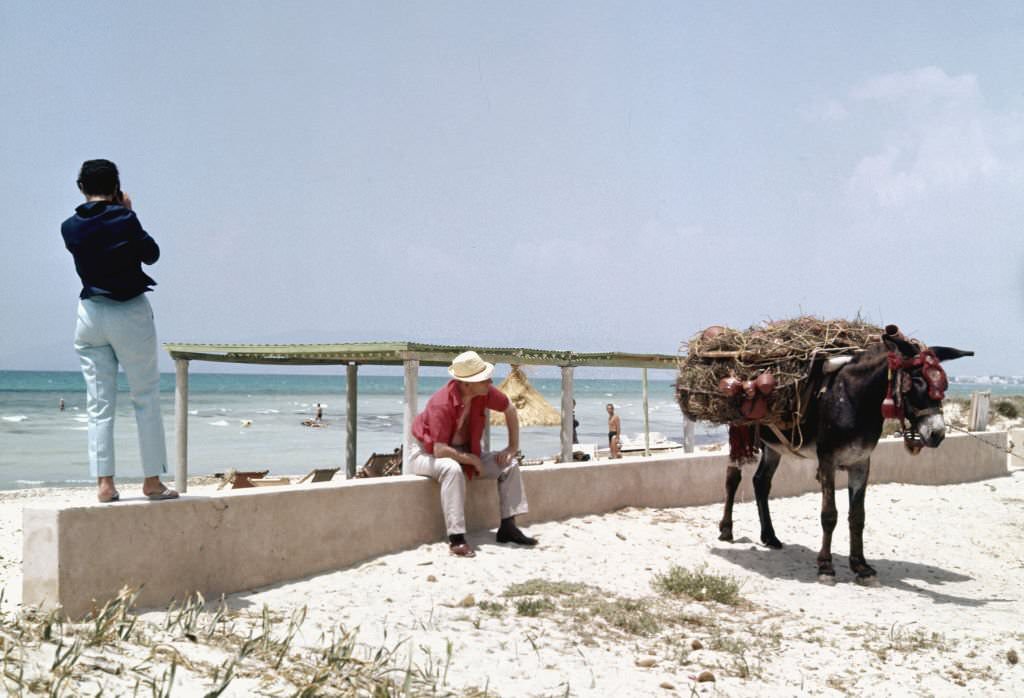 #60 Street vendor with his donkey, 1960, Palma de Mallorca, Balearic Islands, Spain.