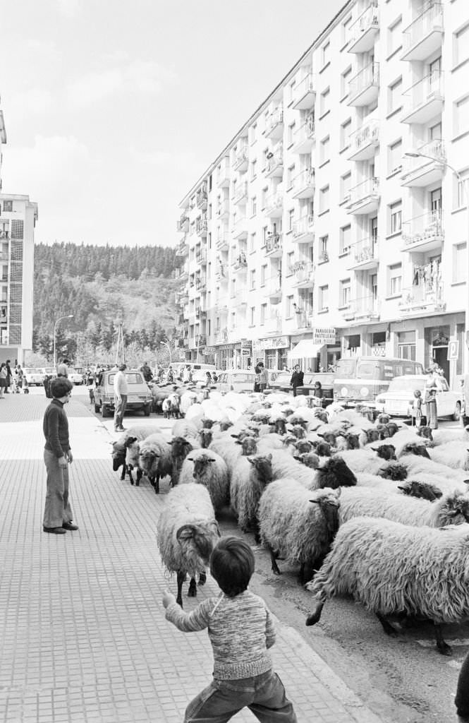 #122 Life in Spain during the process of democratic transition, 1977