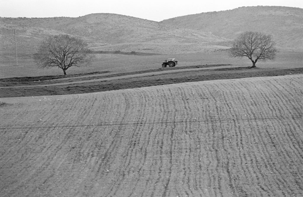 #134 Spain, April 1977