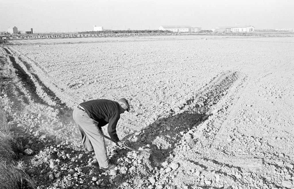 #137 Spain, April 1977