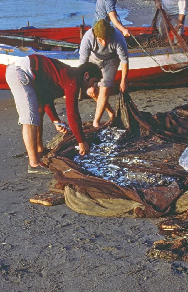 #229 Fishermen inspect their catch on the beach, Almuñécar, 1977