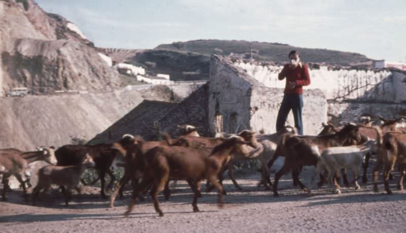 #236 Goat herder waving, Costa del Sol, Playa Granada, Motril, Andalusia, 1977