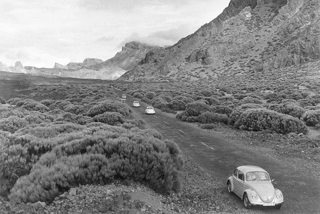 #63 Lava rock and gorse bushes in the Valle de Ucana below the ‘Pico de Teide’, 1973