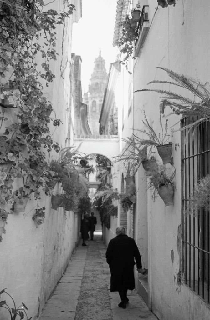 #67 The “Street of the Flowers”, Cordoba, 1975, Andalusia, Spain