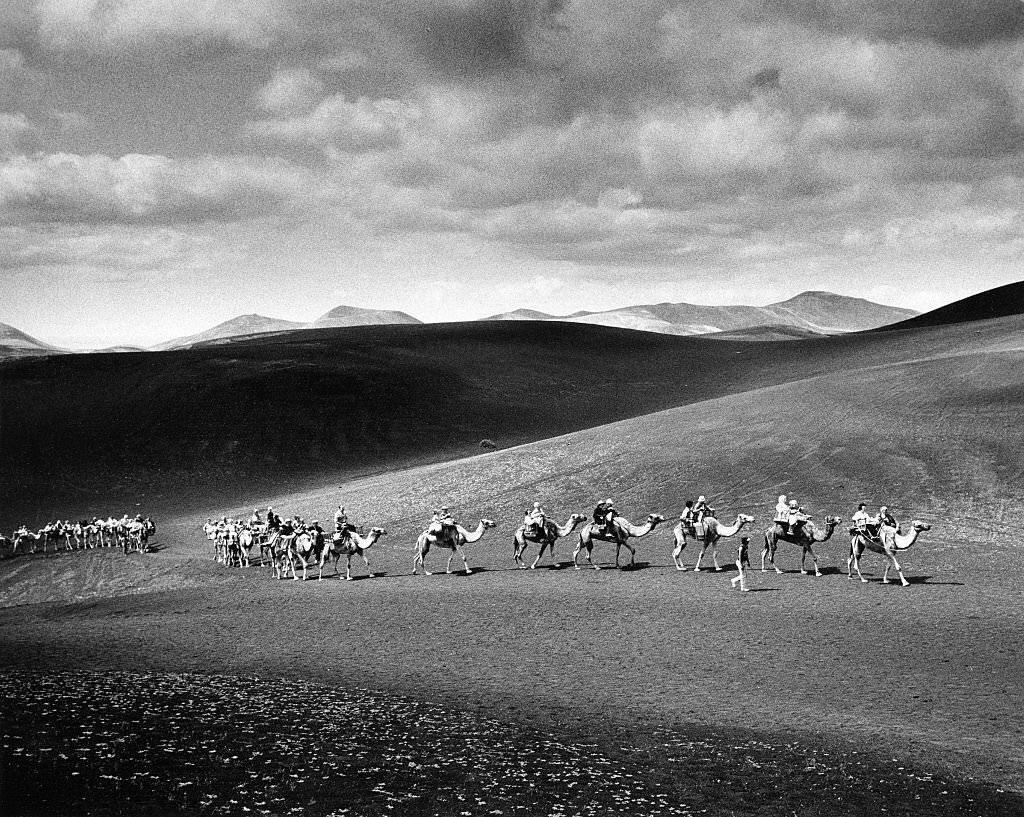 #136 Caravan with tourists on their way to the fire mountains at Timanfaya National Park, 1982