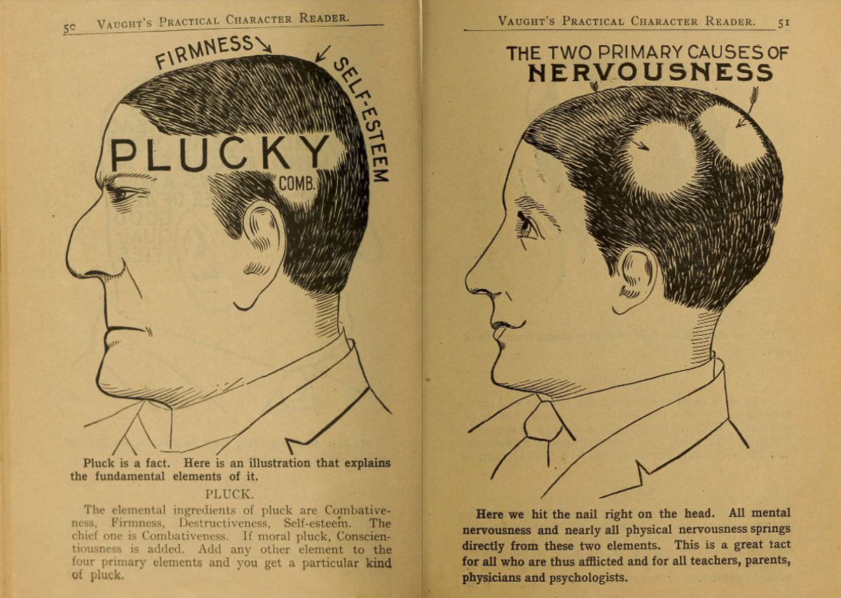 1902 Phrenology Book that determined a person&;s Personality based on the shape of his Head and other Facial Features