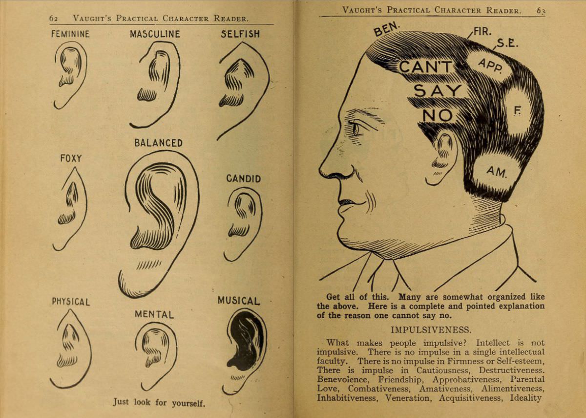 1902 Phrenology Book that determined a person&;s Personality based on the shape of his Head and other Facial Features