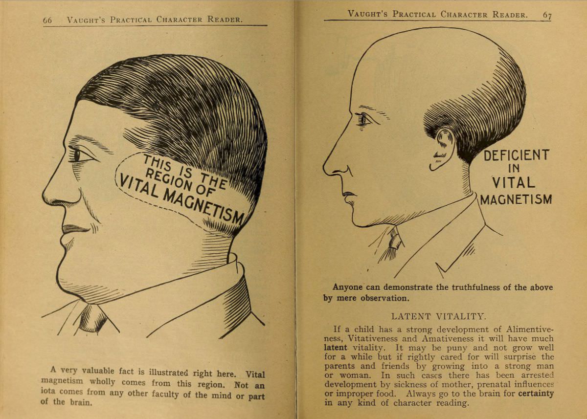 1902 Phrenology Book that determined a person&;s Personality based on the shape of his Head and other Facial Features