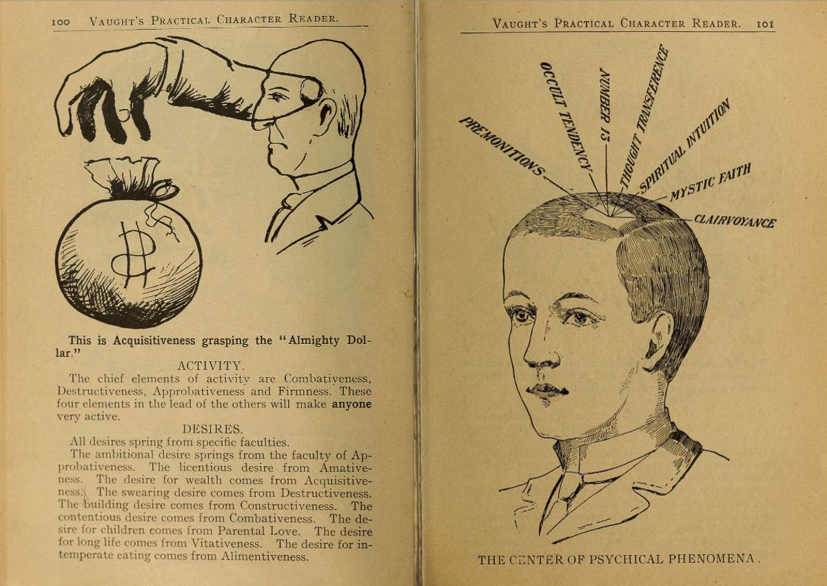 1902 Phrenology Book that determined a person&;s Personality based on the shape of his Head and other Facial Features