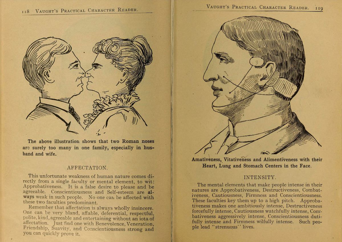1902 Phrenology Book that determined a person&;s Personality based on the shape of his Head and other Facial Features